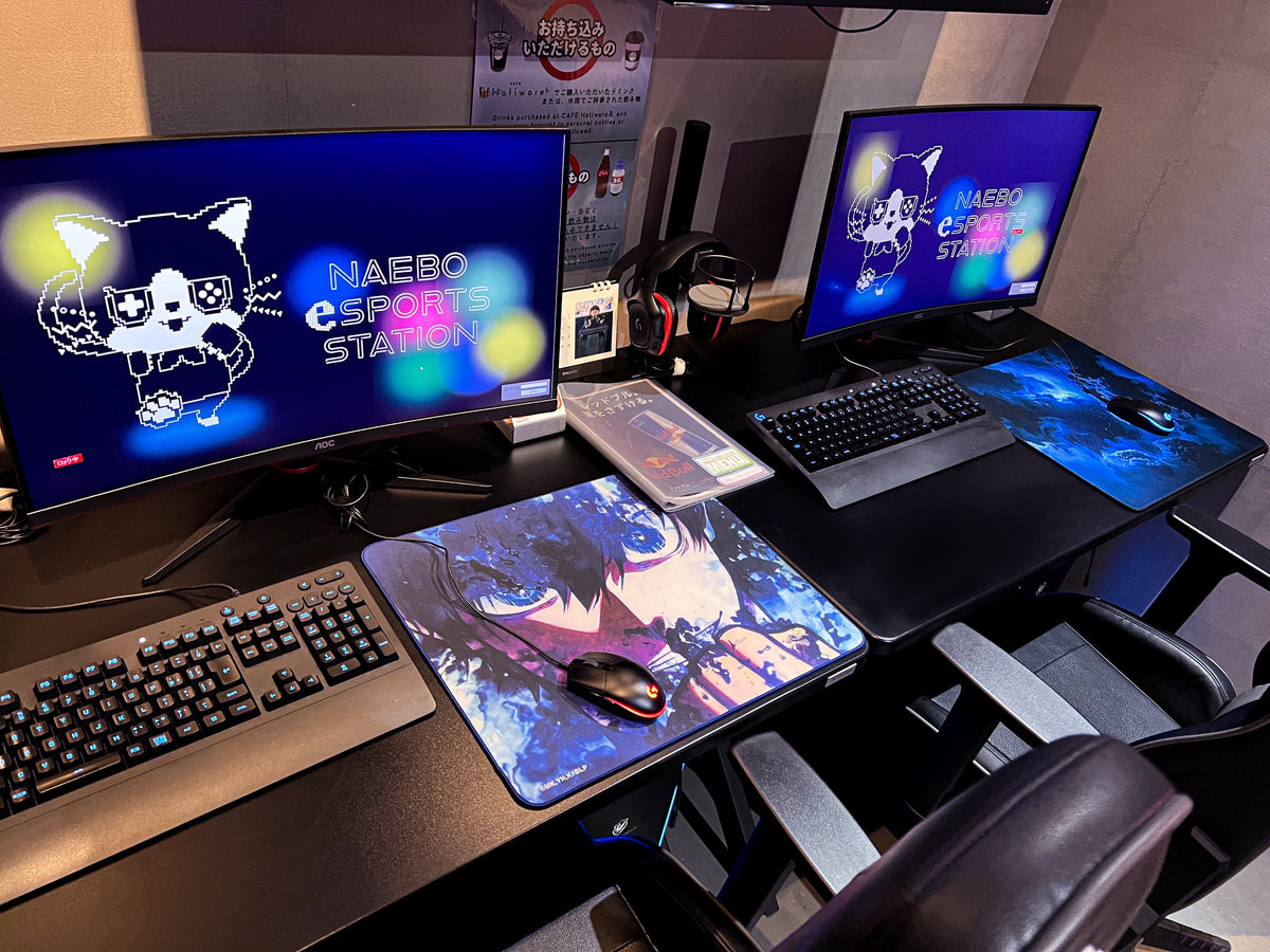 NAEBO eSPORTS STATION